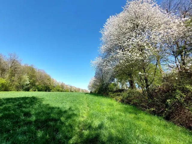 Frühling im Duisburger Süden