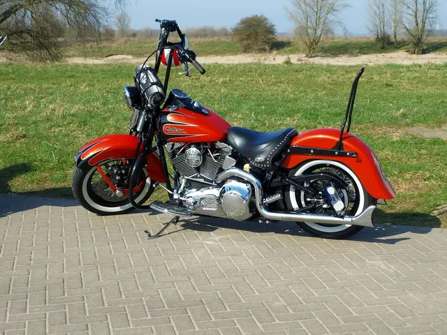 Motorrad Harley Davidson  | Foto: Siegmund Walter, 09.03.2025