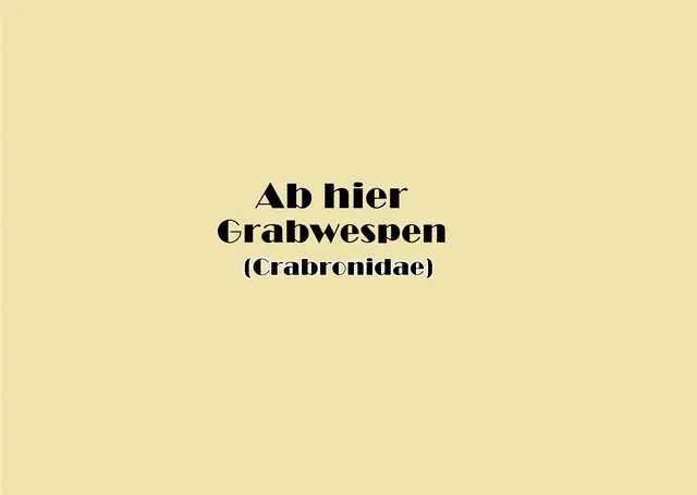 Foto: GvMeegen