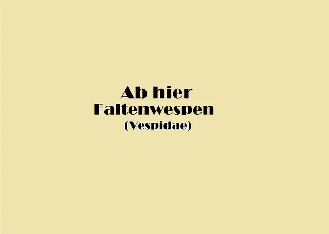 Foto: GvMeegen