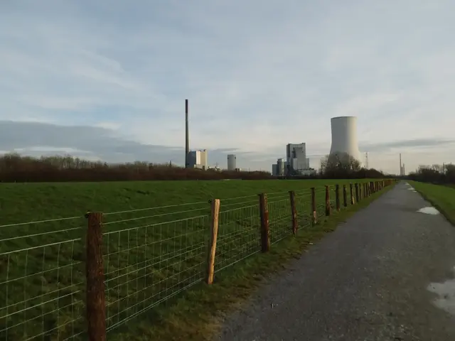 Schutzzäune entlang der Wege im Naturschutzgebiet Rheinaue Walsum. Im Bildhintergrund das Steinkohlekraftwerk Walsum mit seinem 181 Meter hohen Kühlturm, welches von der STEAG betrieben wird. | Foto: Siegmund Walter, 09.12.2025