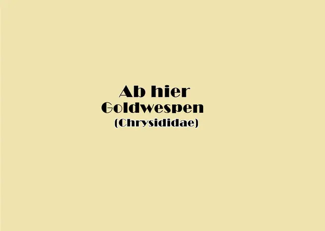 Foto: GvMeegen