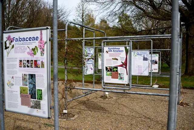 Infotafeln