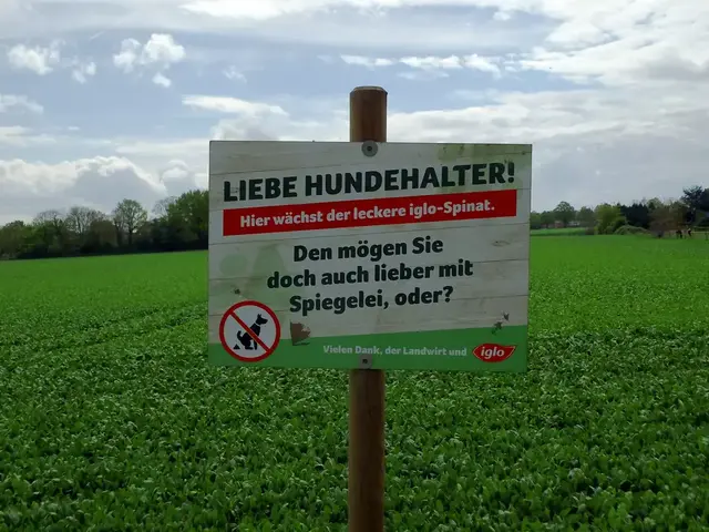 Feldrandschild für Hundehalter in Wesel-Obrighoven.
Anbau: Blattspinat  | Foto: Siegmund Walter, 21.04.2025, 12:36 Uhr