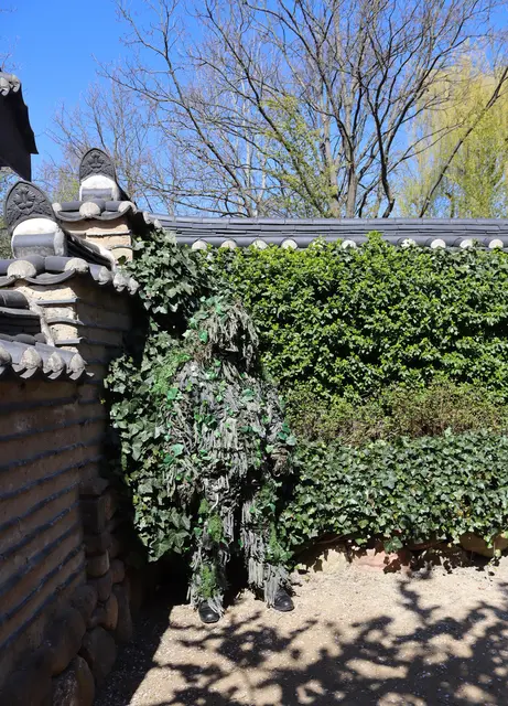 Such Bild! Anime oder Manga