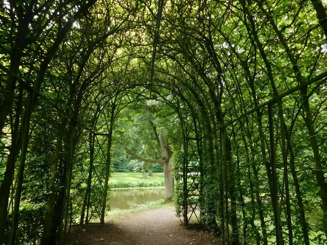 Im Bremer Bürgerpark | Foto: Astrid Günther