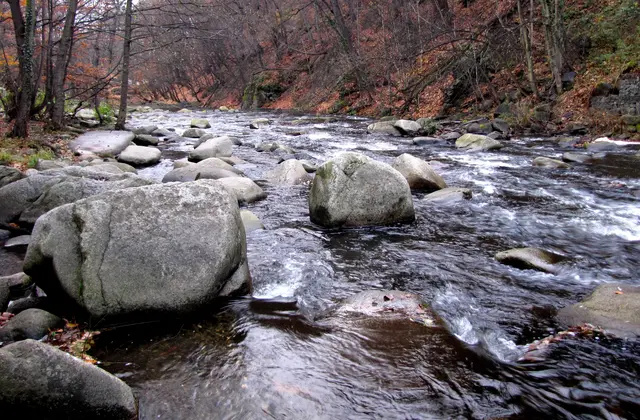 Dort hat die Bode eine tiefe Schlucht geschaffen. | Foto: Kurt Wolter