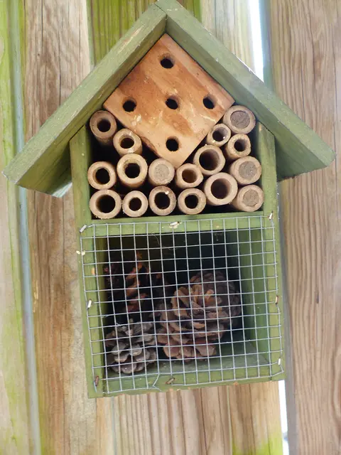 Hier kann man noch fündig werden, größerer Wohnraum als Nebenan. | Foto: N. Käse
