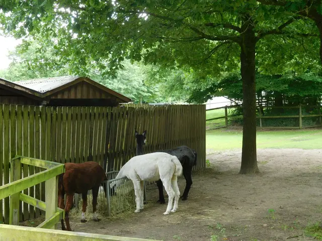 Im Bremer Bürgerpark | Foto: Astrid Günther