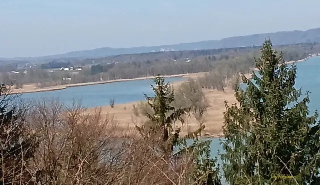 Von links fließt die Salzach in den Inn. Unterhalb der Bäume. | Foto: Iris Alefelder