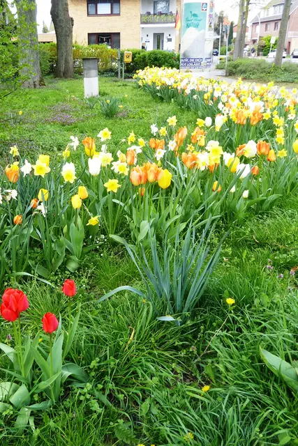 Blumenschmuck am Zugang zum Ehrenmal.