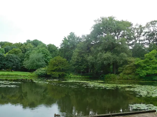 Im Bremer Bürgerpark | Foto: Astrid Günther