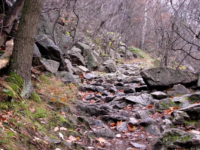 Nach 18 Spitzkehren erreichen wir die Höhe des Rosstrappefelsens, der sich wie ein langer Sporn in die Schlucht hineinschiebt.  | Foto: Kurt Wolter