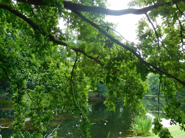 Bremen, Wallanlagen | Foto: Astrid Günther