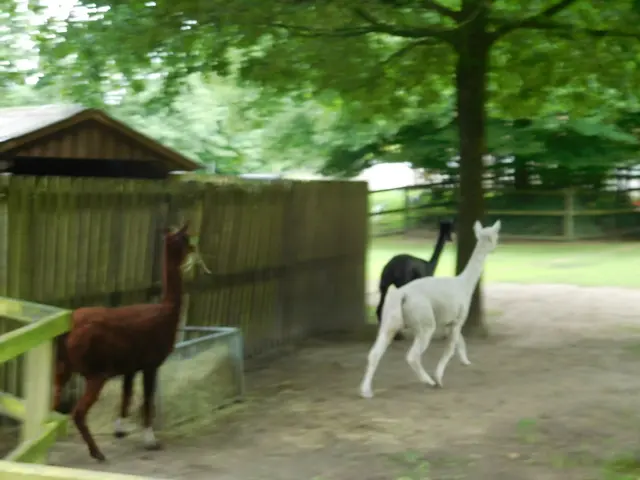 Im Bremer Bürgerpark | Foto: Astrid Günther