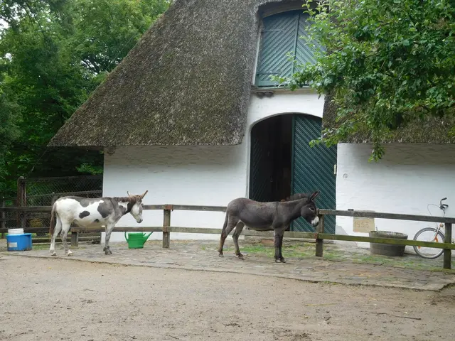 Im Bremer Bürgerpark | Foto: Astrid Günther