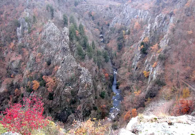 Tief unten rauscht die Bode durch die Schlucht. | Foto: Kurt Wolter