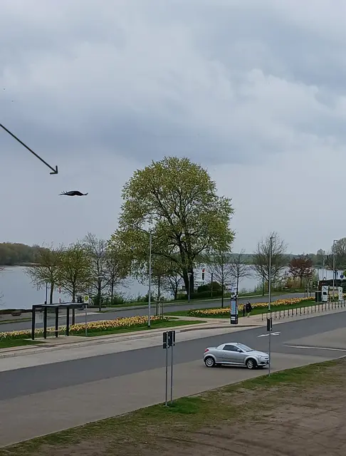 An der Rheinpromenade in Wesel | Foto: Siegmund Walter, 13.04.2026, 14:12 Uhr