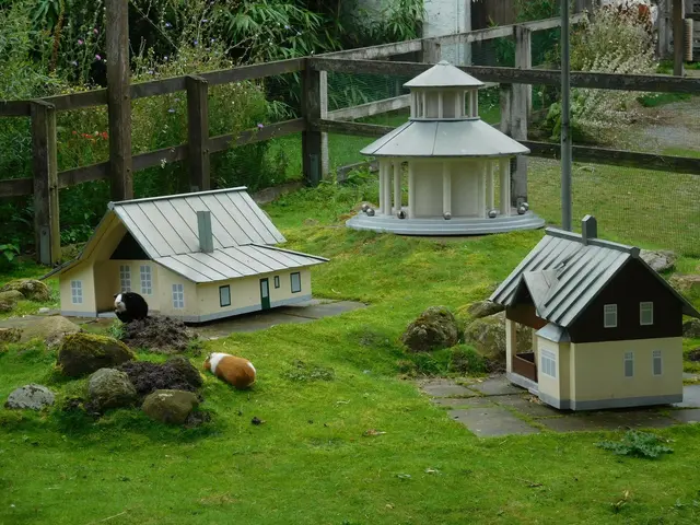 Im Bremer Bürgerpark | Foto: Astrid Günther