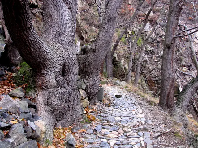 Auch hier ist der Weg steinig und kein leichter. | Foto: Kurt Wolter