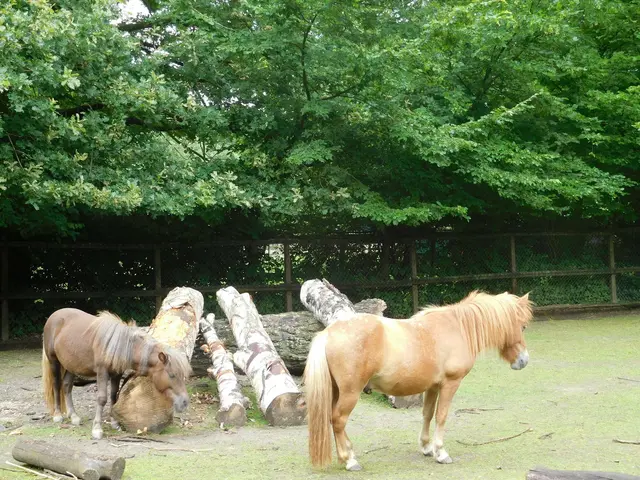 Im Bremer Bürgerpark | Foto: Astrid Günther