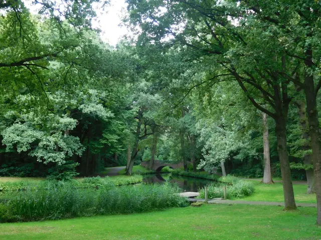 Im Bremer Bürgerpark | Foto: Astrid Günther