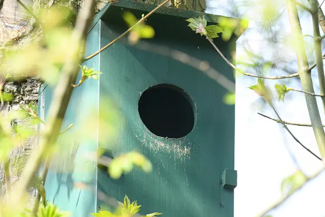 Foto: Copyright Andreas Schäfer