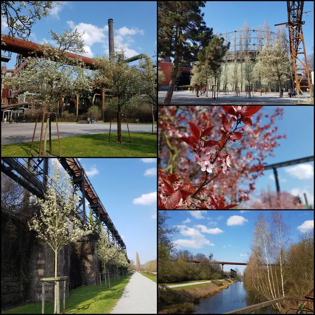 Auf Frühlingssuche im Lapadu, im Landschaftspark Duisburg Nord