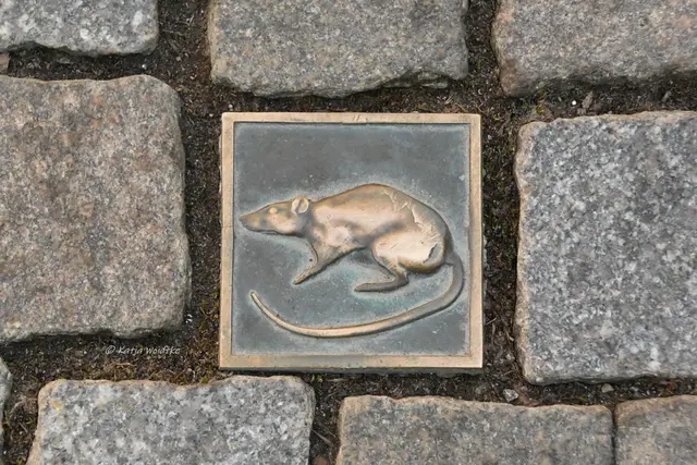 Hameln entdecken (Foto: Katja Woidtke)

Quer durch die Osterstraße in Hameln - tierischer Wegweiser zwischen den Pflastersteinen | Foto: Katja Woidtke
