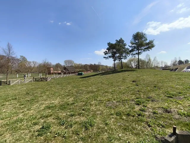 Weidefläche für die Schafsrassen Skudden und Coburger Füchse