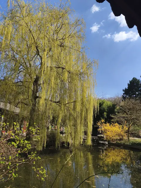 Hellgrün und Gelb, Farbenspiel und Sichtachse 