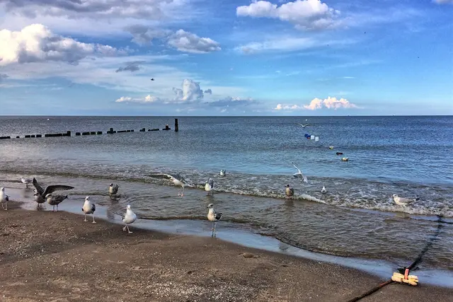 Foto: copyright Margot Klütsch