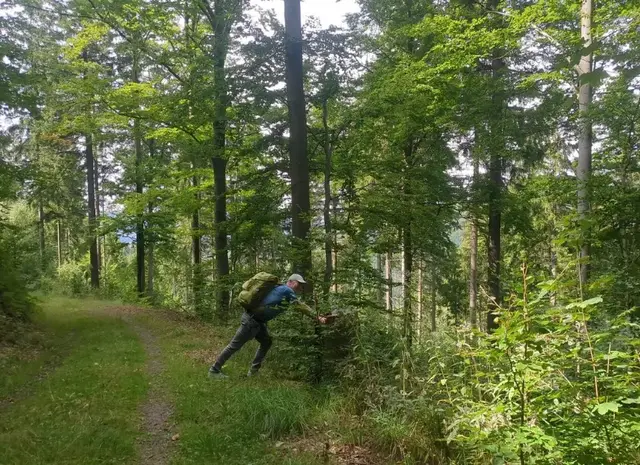 Wanderung nach Seiffen | Foto: Astrid Günther
