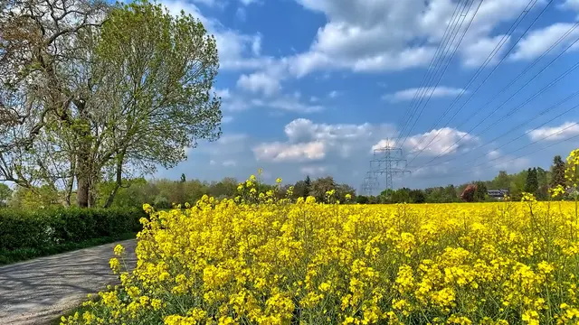 Foto: copyright Margot Klütsch