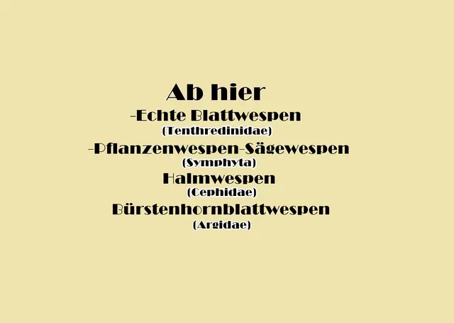 Foto: GvMeegen