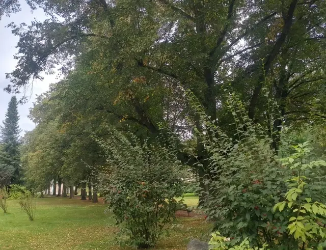 Im Stadtpark von Olbernhau | Foto: Astrid Günther