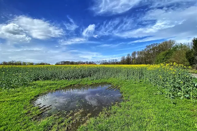 Foto: copyright Margot Klütsch