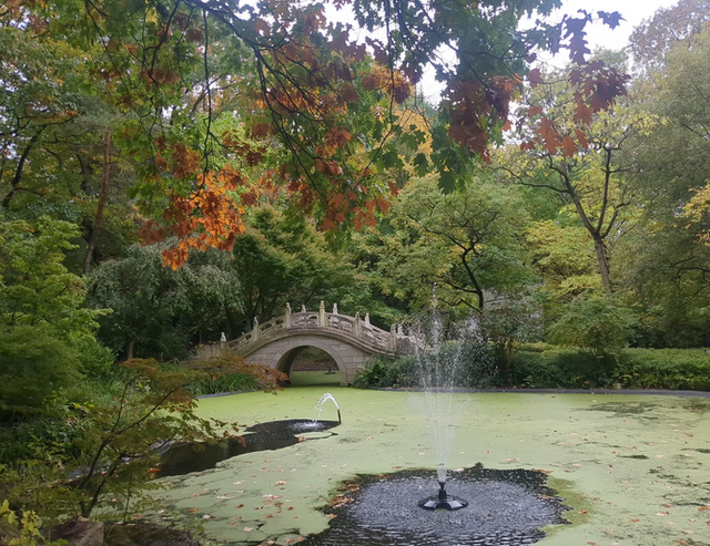 Der chinesische Garten im Zoo Duisburg | Foto: Astrid Günther