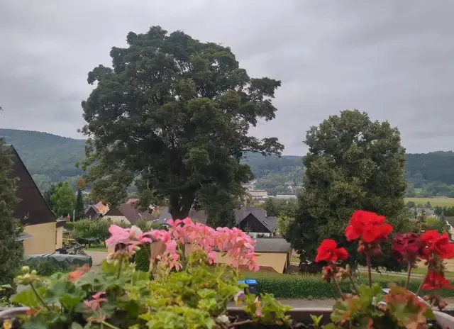 Blick vom Balkon des Hotels Poppsches Gut | Foto: Astrid Günther