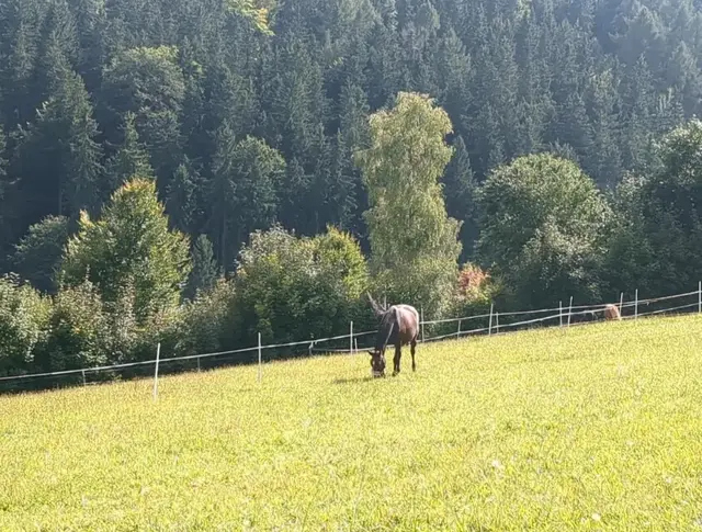 Stadt der sieben Täler | Foto: Astrid Günther