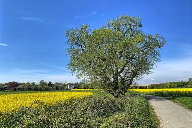 Foto: copyright Margot Klütsch