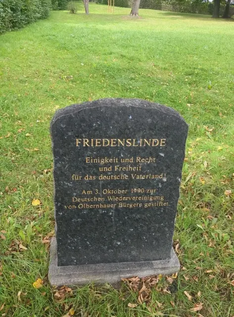 Die Olbernhauer Friedenslinde | Foto: Astrid Günther