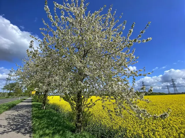 Foto: copyright Margot Klütsch