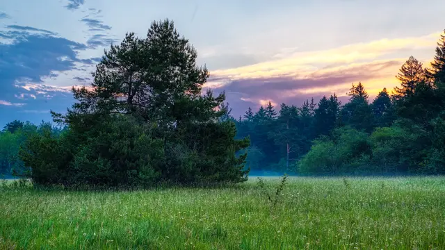 Augsburg Schießplatzheide | Foto: Kurt Rabe – stock.adobe.com