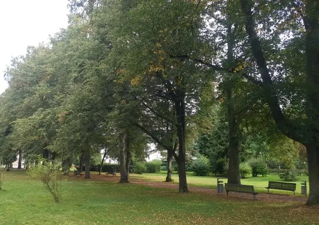 Im Stadtpark von Olbernhau | Foto: Astrid Günther