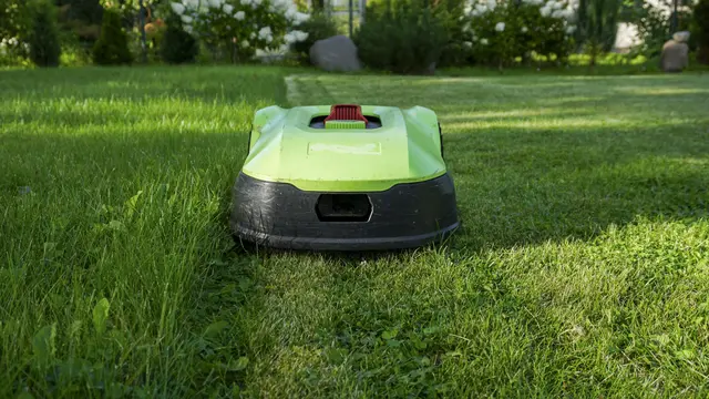 Unbeaufsichtigte Mähroboter stellen eine Gefahr für Igel und andere Kleintiere dar. | Foto: Jtam_stock-adobe.com