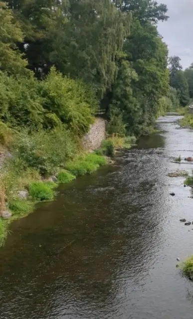 Die Flöha | Foto: Astrid Günther