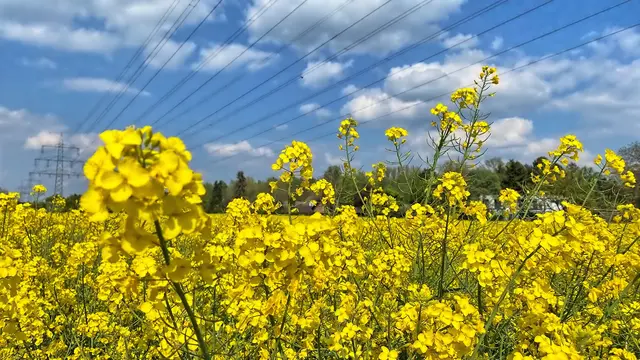 Foto: copyright Margot Klütsch