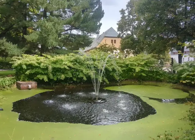 Im Stadtpark von Olbernhau | Foto: Astrid Günther