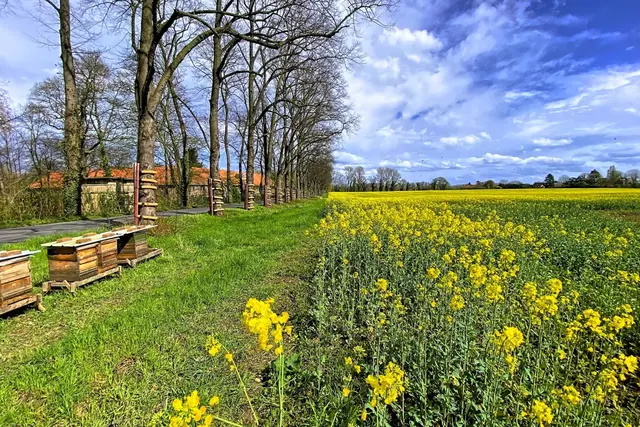 Foto: copyright Margot Klütsch